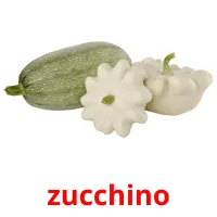 zucchino cartes flash