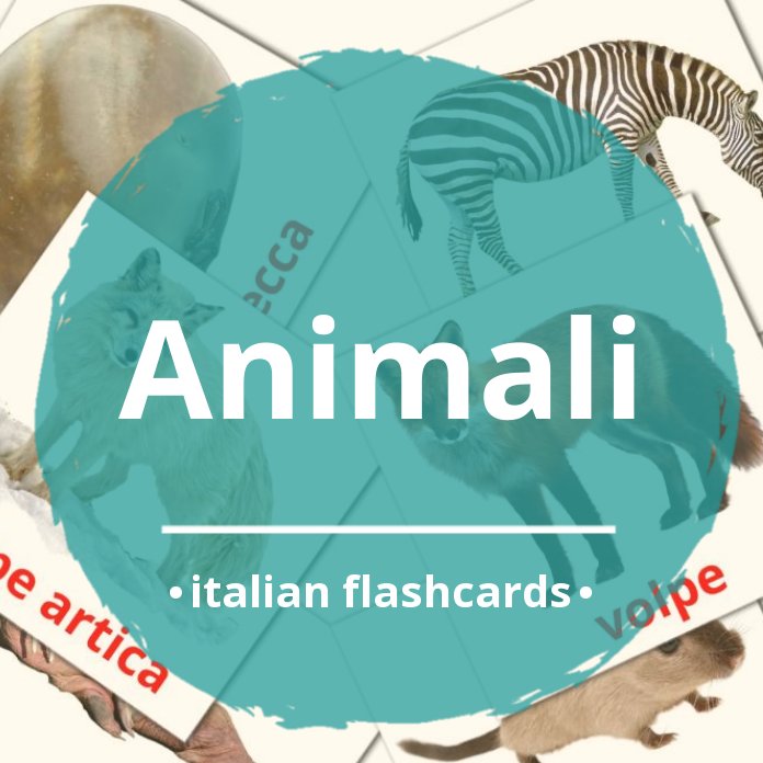 Beginner Italian Flash Cards Farm & Zoo Animals - Animali