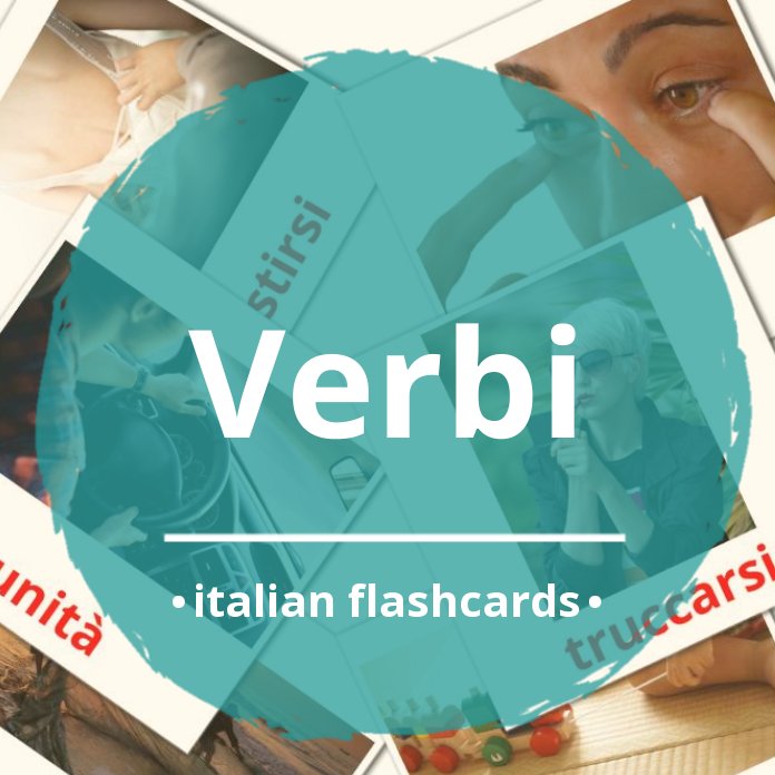 Italiano Punjabi 624 Bilingue Vocabolario Flash Cards Libri per Bambini:  Italian Punjabi dizionario flashcards elementerre bambino: 16 (Libri  Scolastici Italiano Scuola Primaria) : Zingarelli, Violetta: :  किताबें