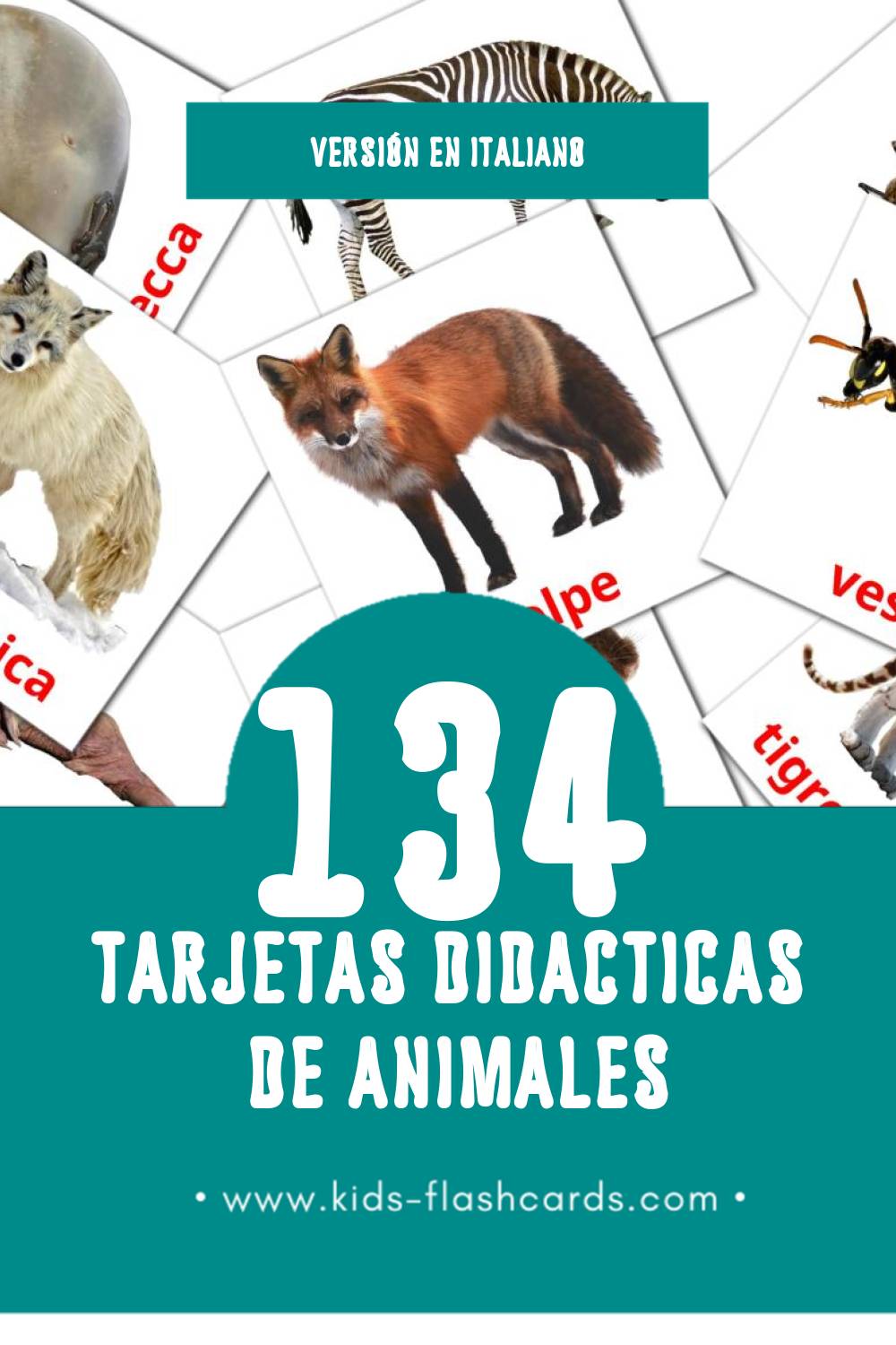 Tarjetas visuales de Animali para niños pequeños (134 tarjetas en Italiano)
