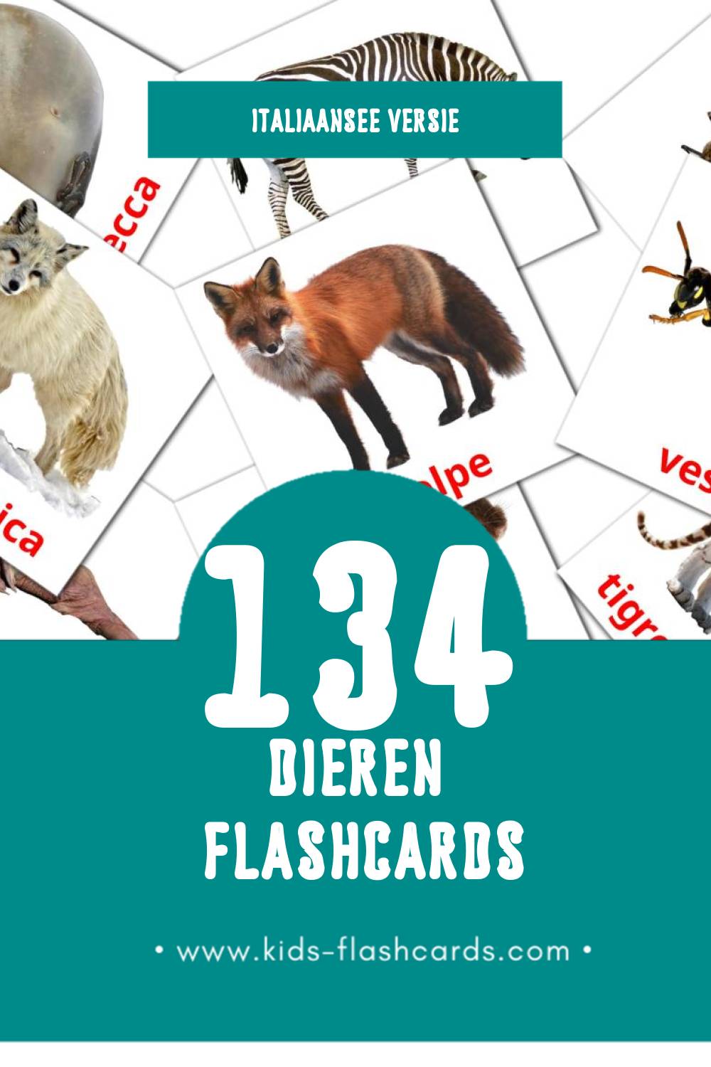 Visuele Animali Flashcards voor Kleuters (134 kaarten in het Italiaanse)