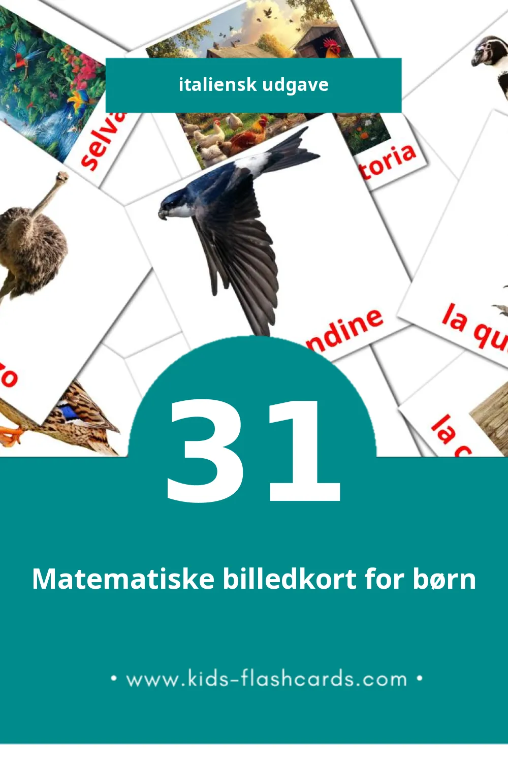 Visuelle billedkort for børn om Uccelli til småbørn (31 kort på Italiensk)