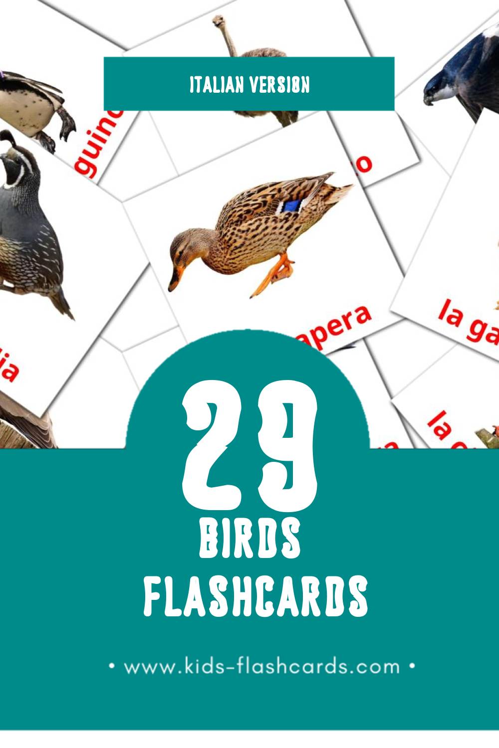 Visual Uccelli Flashcards for Toddlers (29 cards in Italian)