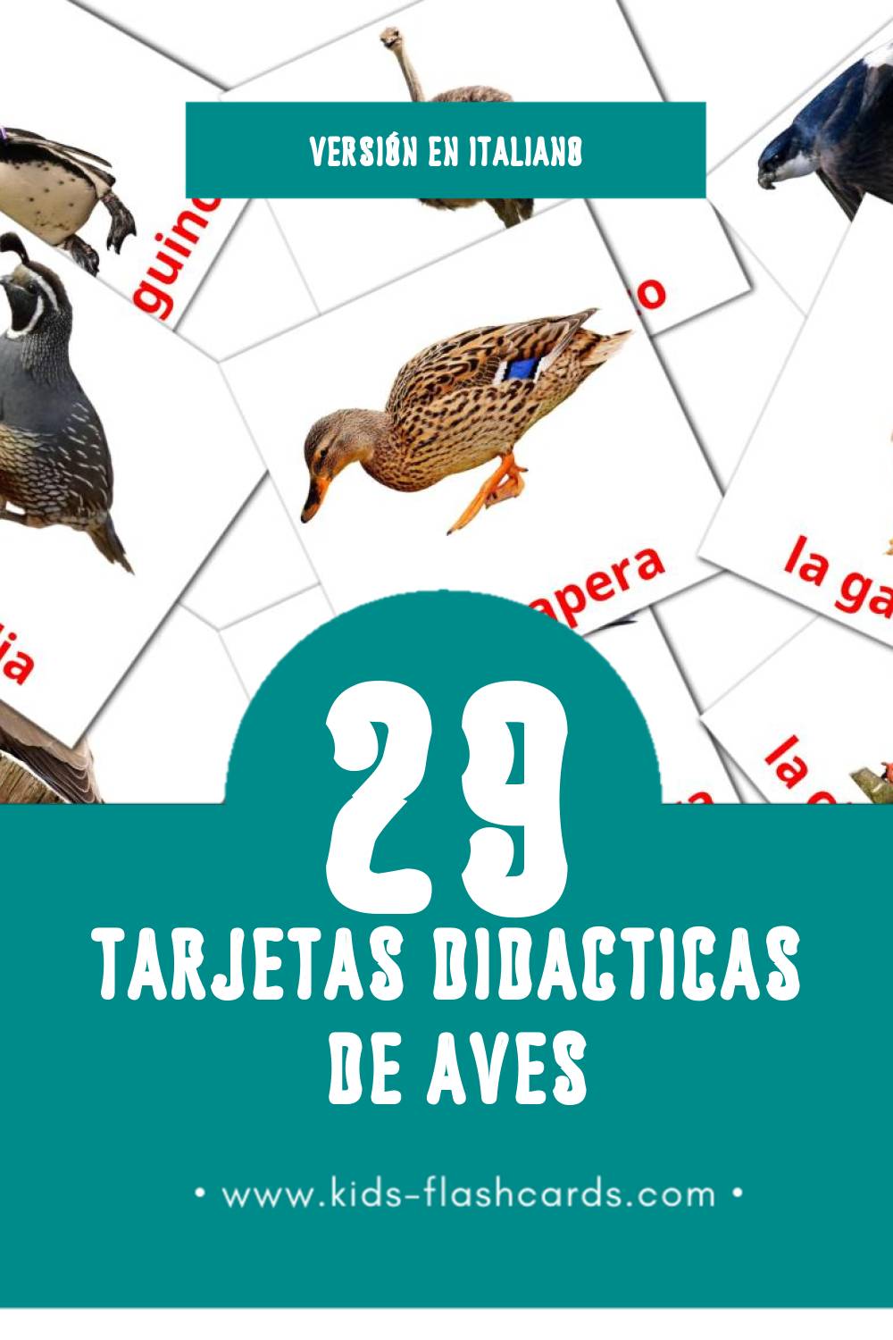 Tarjetas visuales de Uccelli para niños pequeños (29 tarjetas en Italiano)