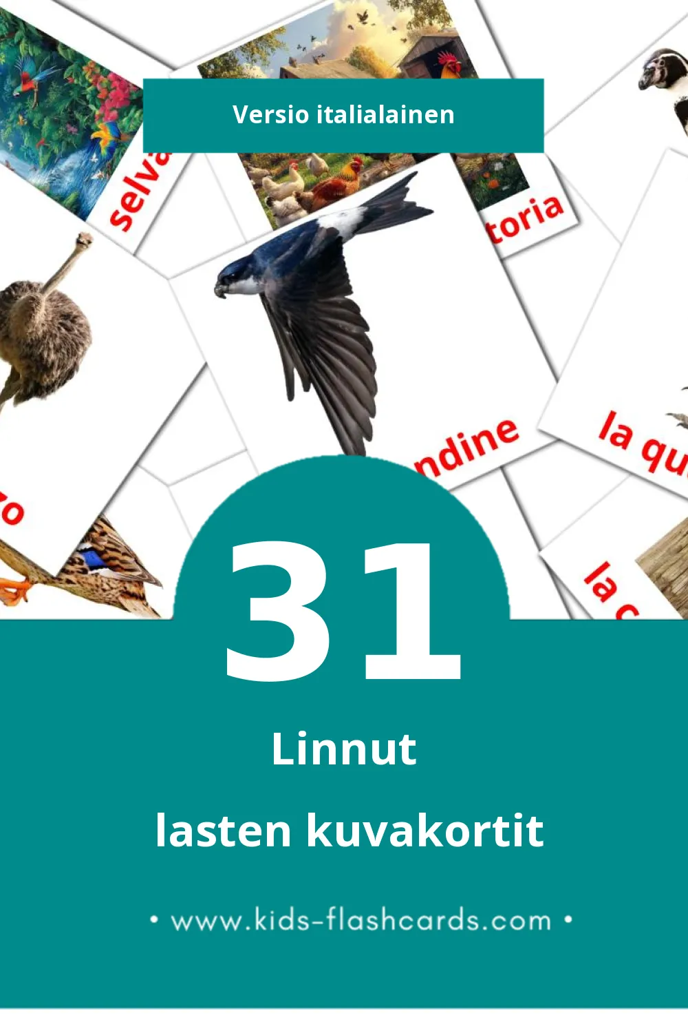 Uccelli lasten kuvakortit pikkulapsille (31 korttia Italialaiseksi)