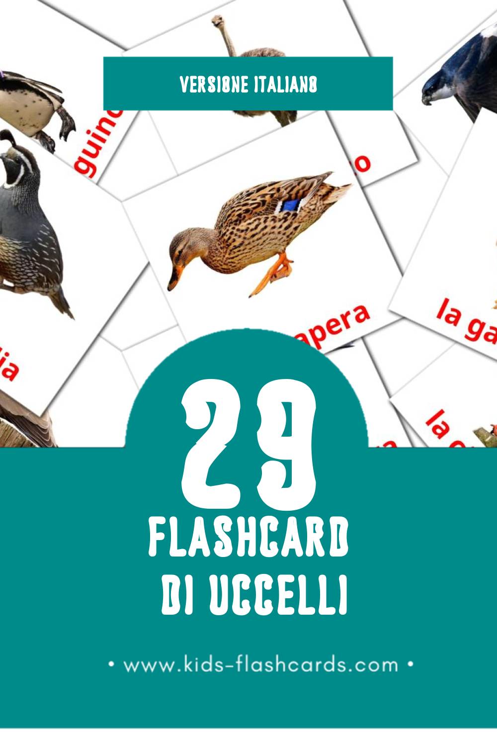 Schede visive sugli Uccelli per bambini (29 schede in Italiano)