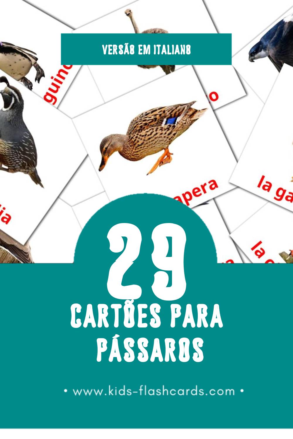 Flashcards de Uccelli Visuais para Toddlers (29 cartões em Italiano)