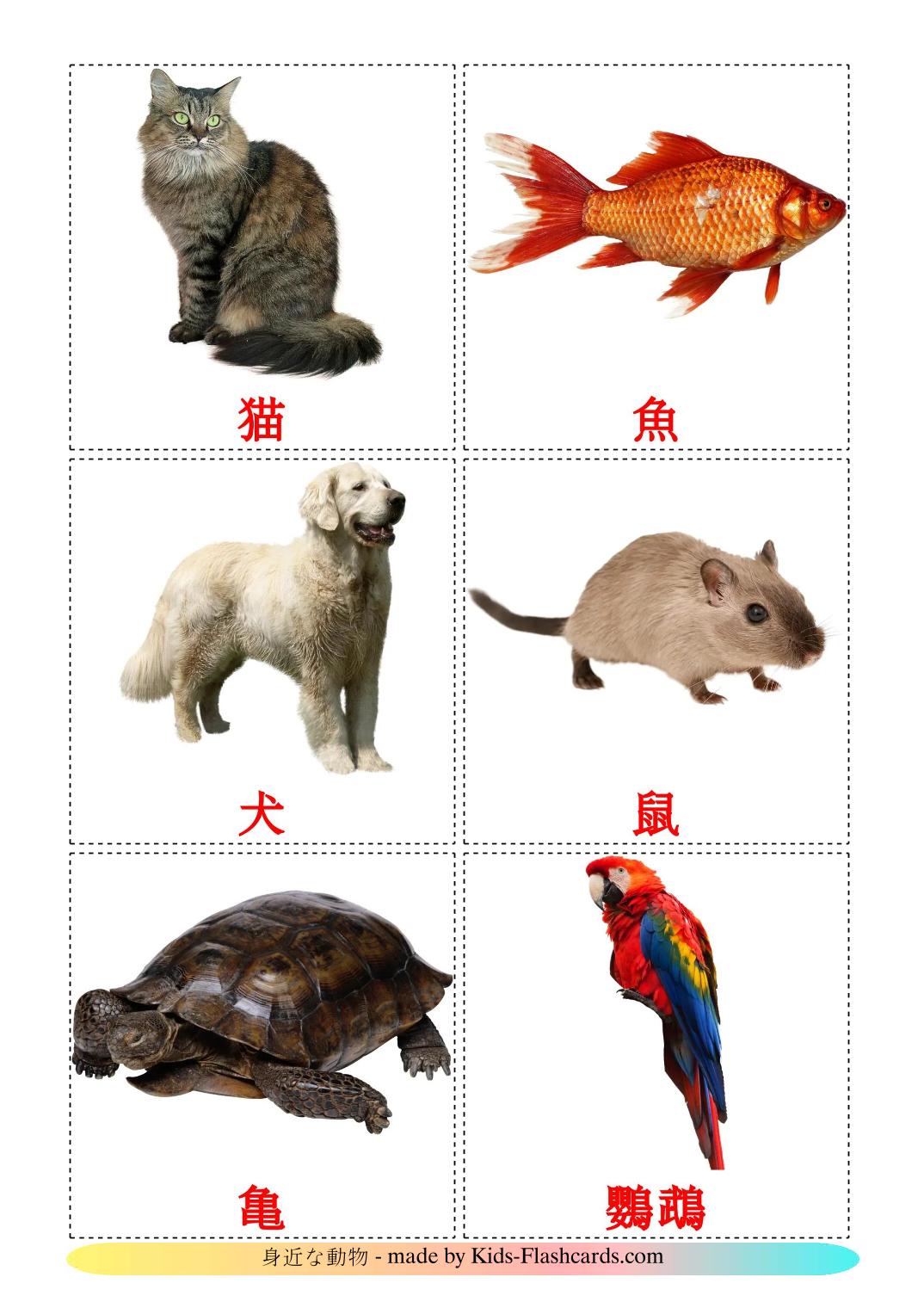 Domestic animals - 11 Free Printable japanese Flashcards 