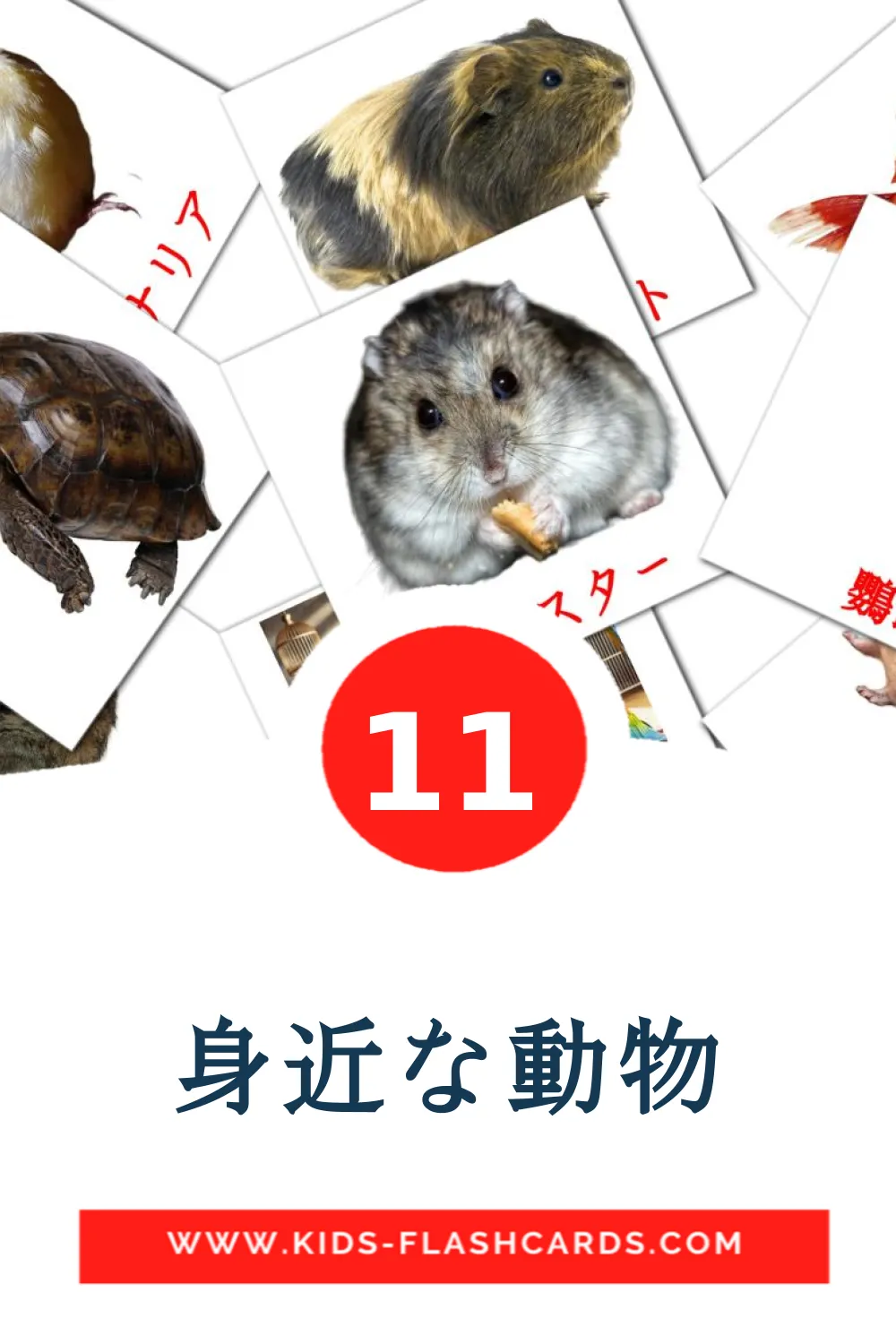 11 身近な動物 Picture Cards for Kindergarden in japanese