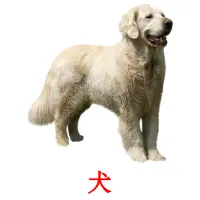 犬 picture flashcards