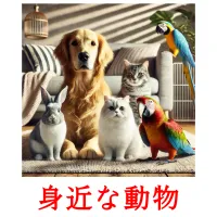 身近な動物 picture flashcards