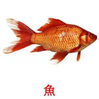 魚 picture flashcards