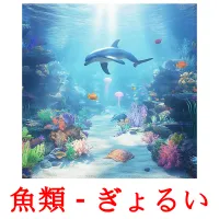 魚類 - ぎょるい picture flashcards