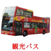 観光バス picture flashcards