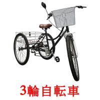 3輪自転車 card for translate