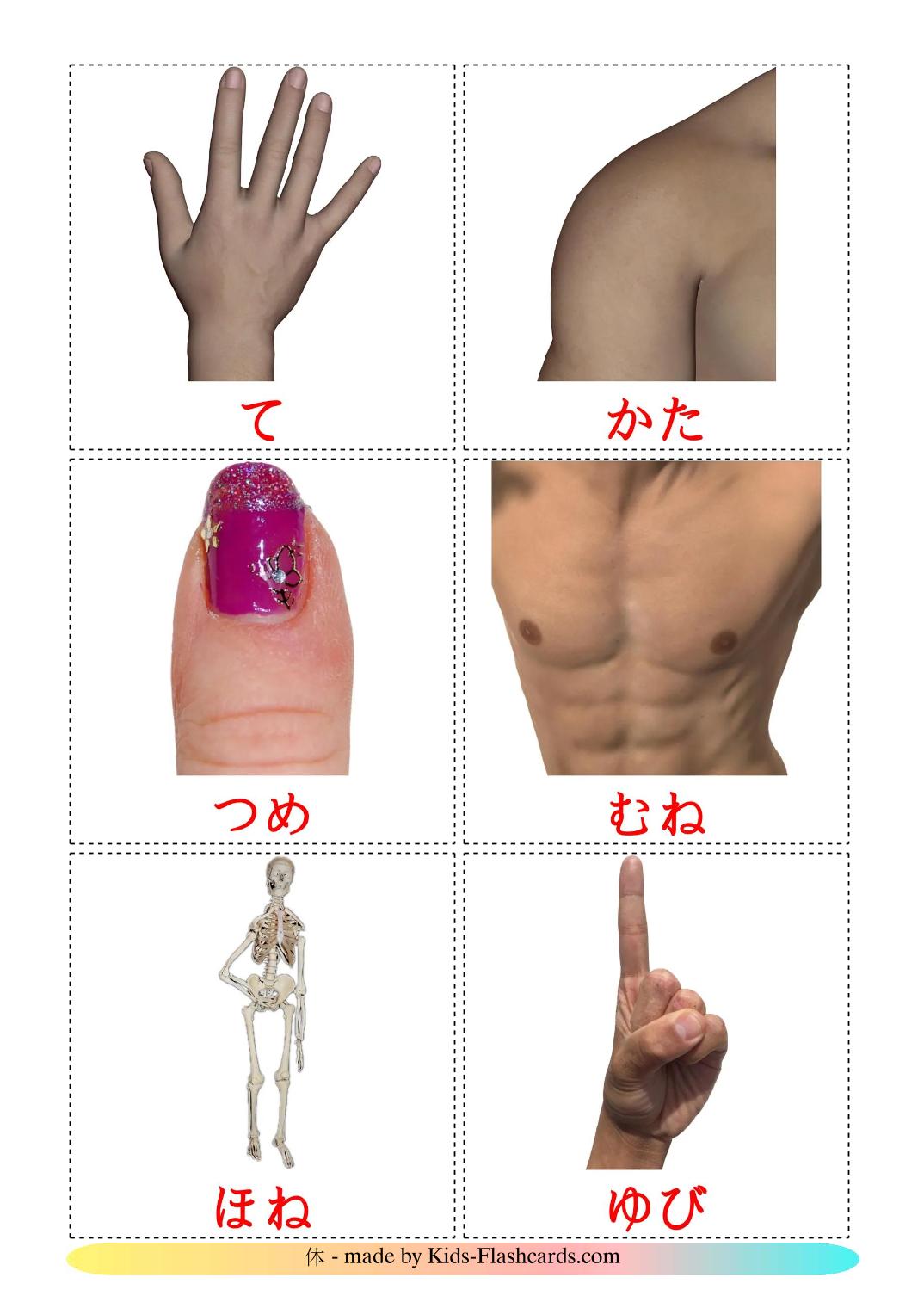 Body Parts - 26 Free Printable japanese Flashcards 