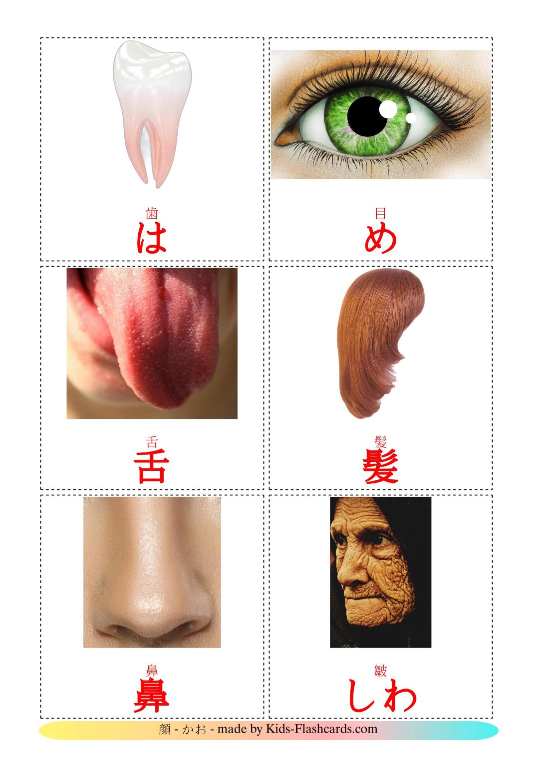 Face - 20 Free Printable japanese Flashcards 
