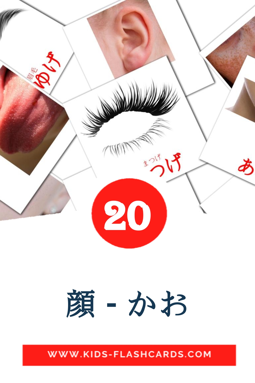 20 顔 - かお Picture Cards for Kindergarden in japanese