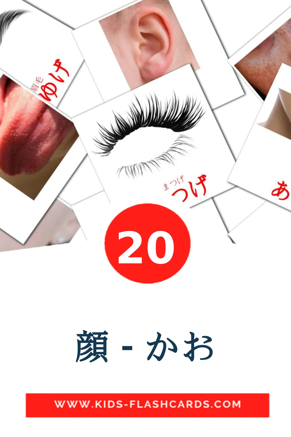 20 顔 - かお Picture Cards for Kindergarden in japanese