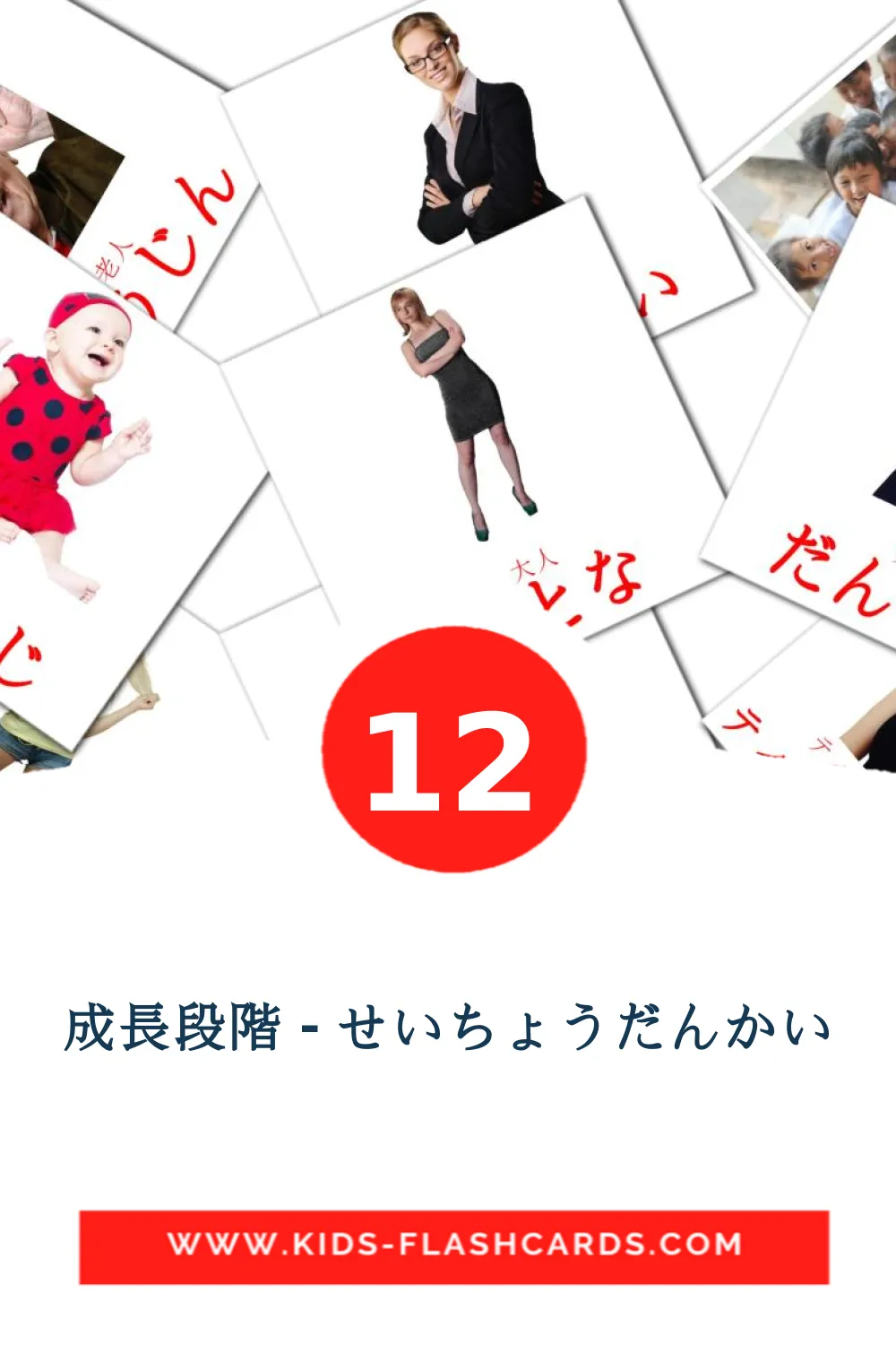 12 成長段階 - せいちょうだんかい Picture Cards for Kindergarden in japanese