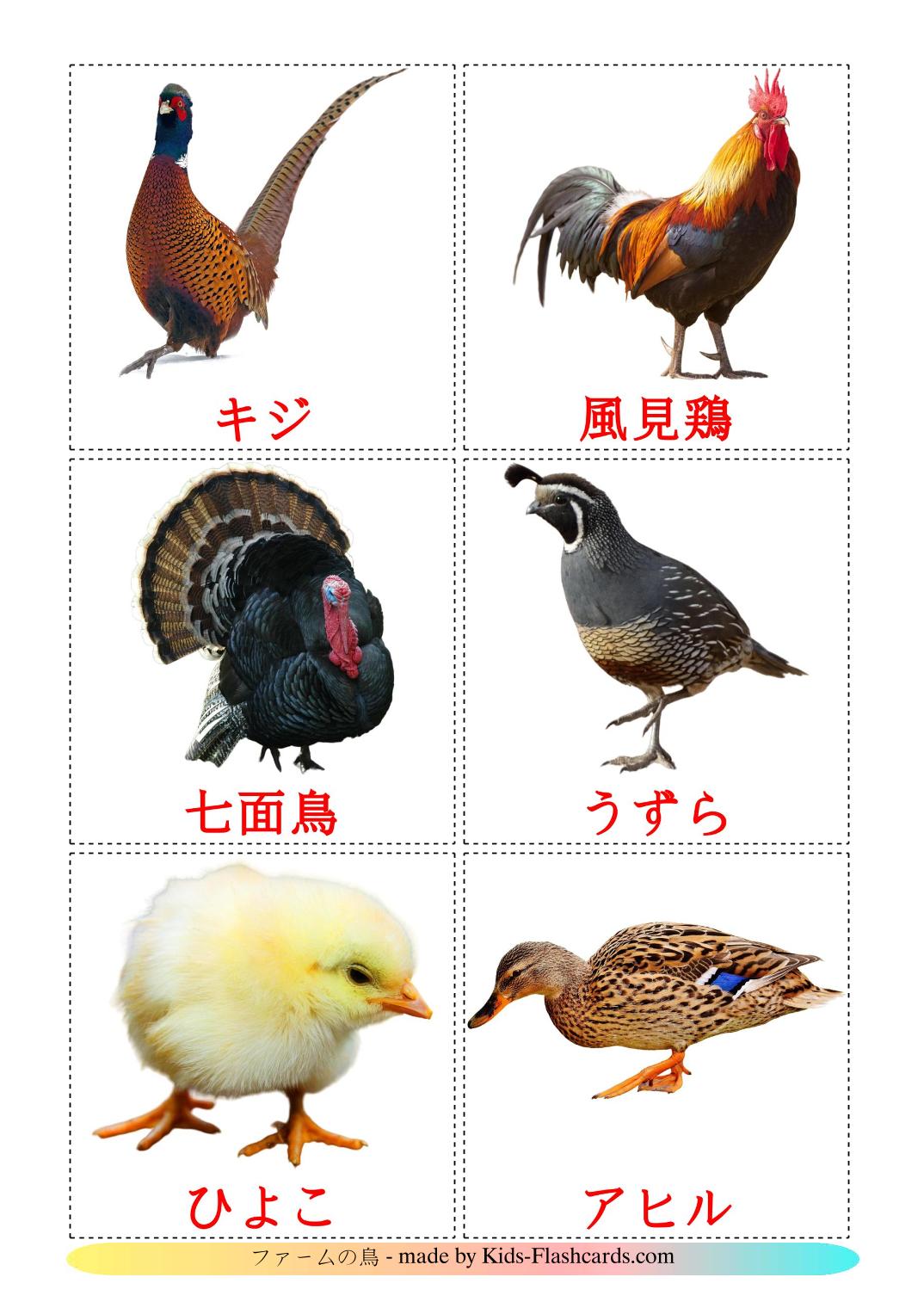 Farm birds - 11 Free Printable japanese Flashcards 