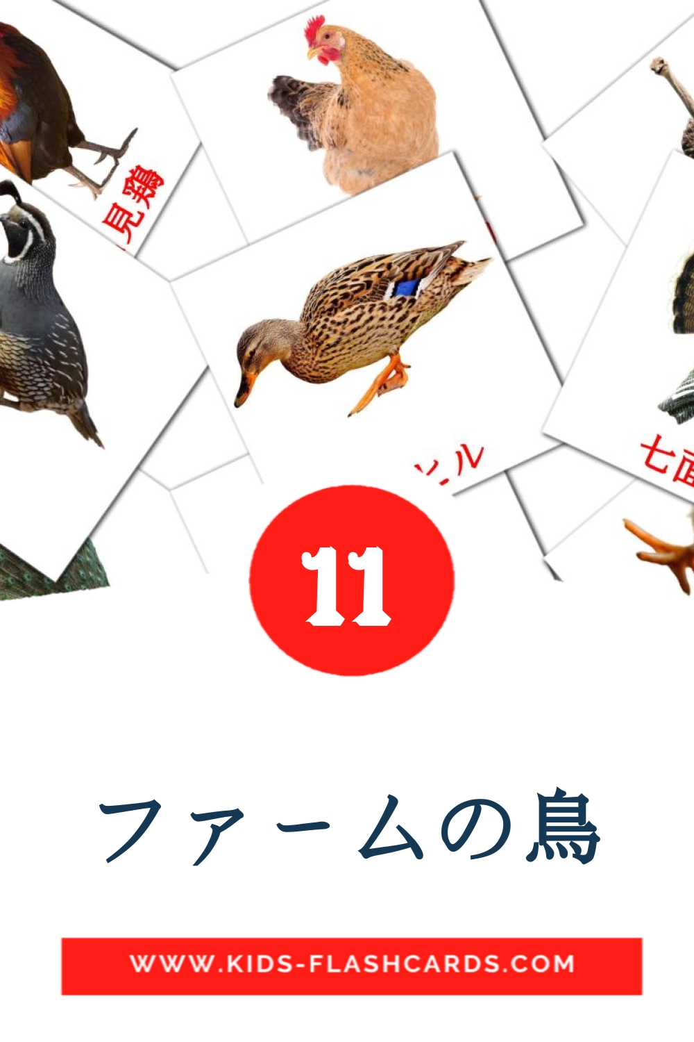 11 cartes illustrées de ファームの鳥 pour la maternelle en japonais