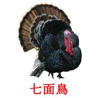 七面鳥 card for translate