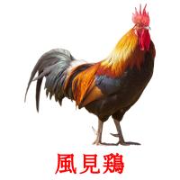 風見鶏 card for translate