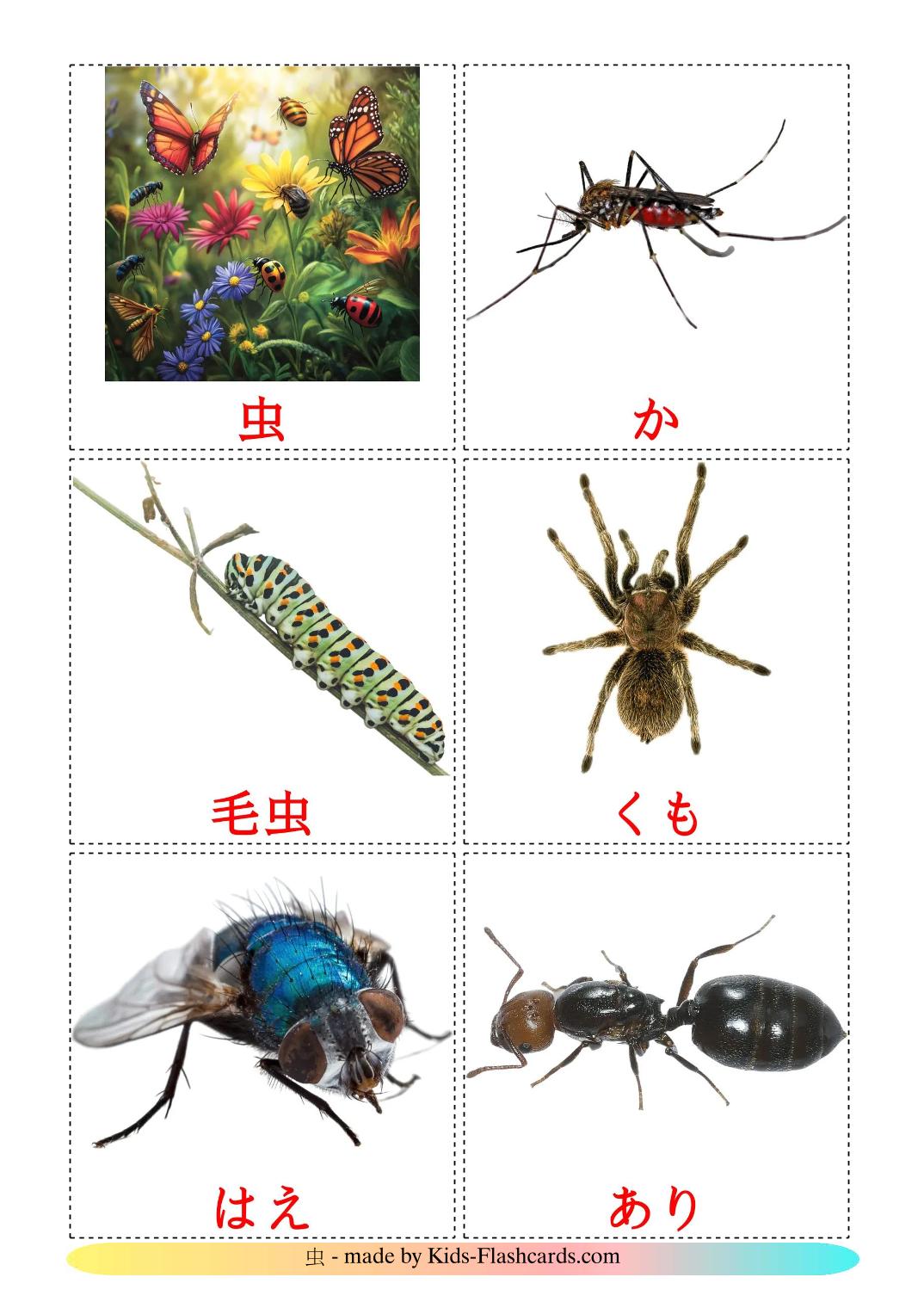 Insects - 24 Free Printable japanese Flashcards 