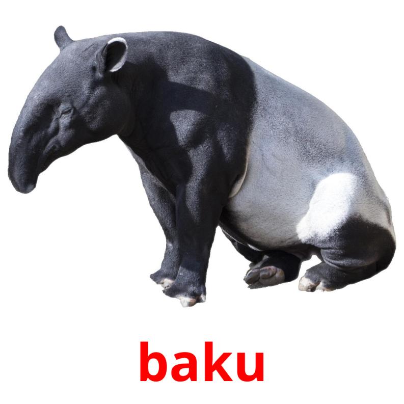 baku picture flashcards