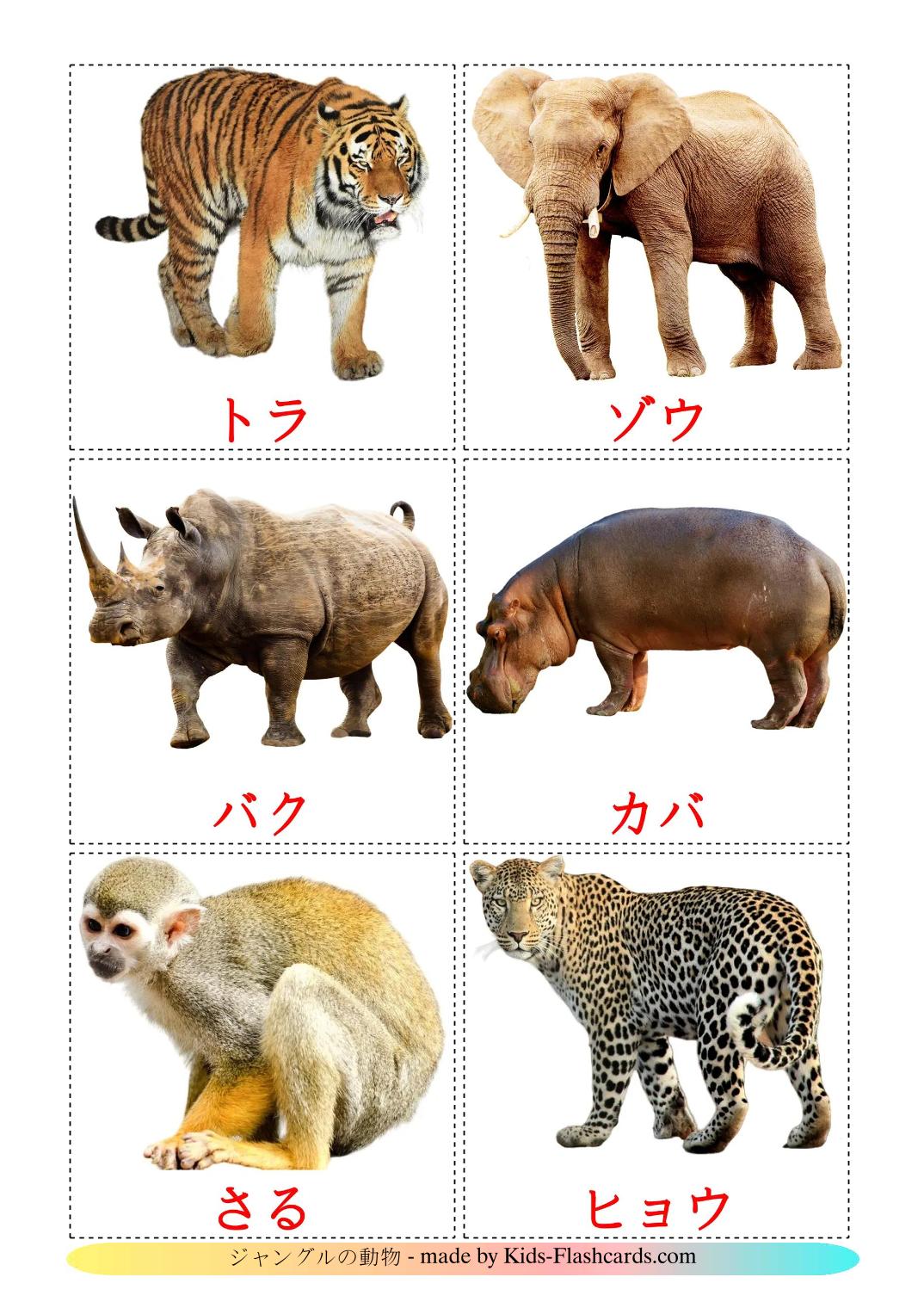 Jungle animals - 22 Free Printable japanese Flashcards 