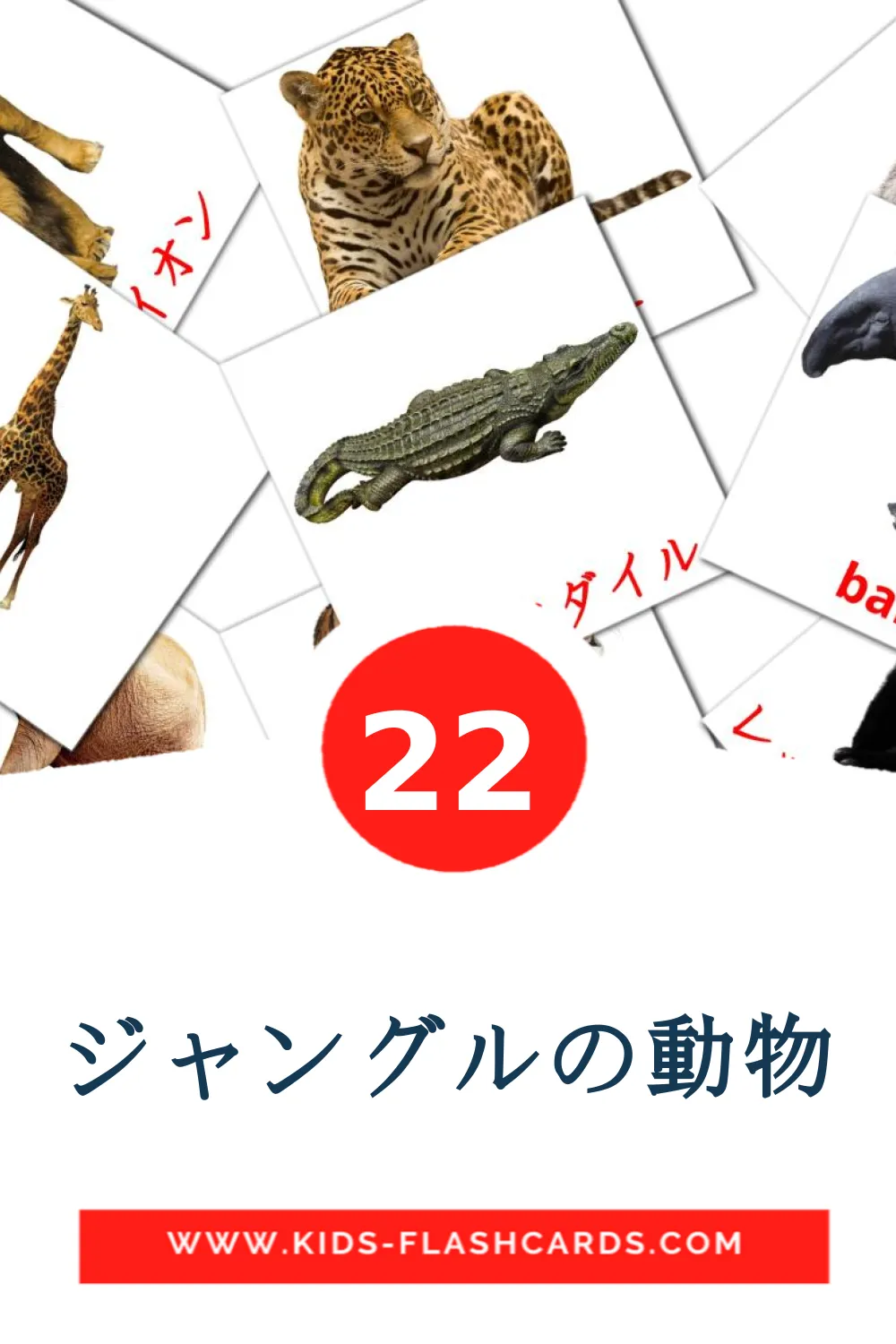 22 ジャングルの動物 Picture Cards for Kindergarden in литовском