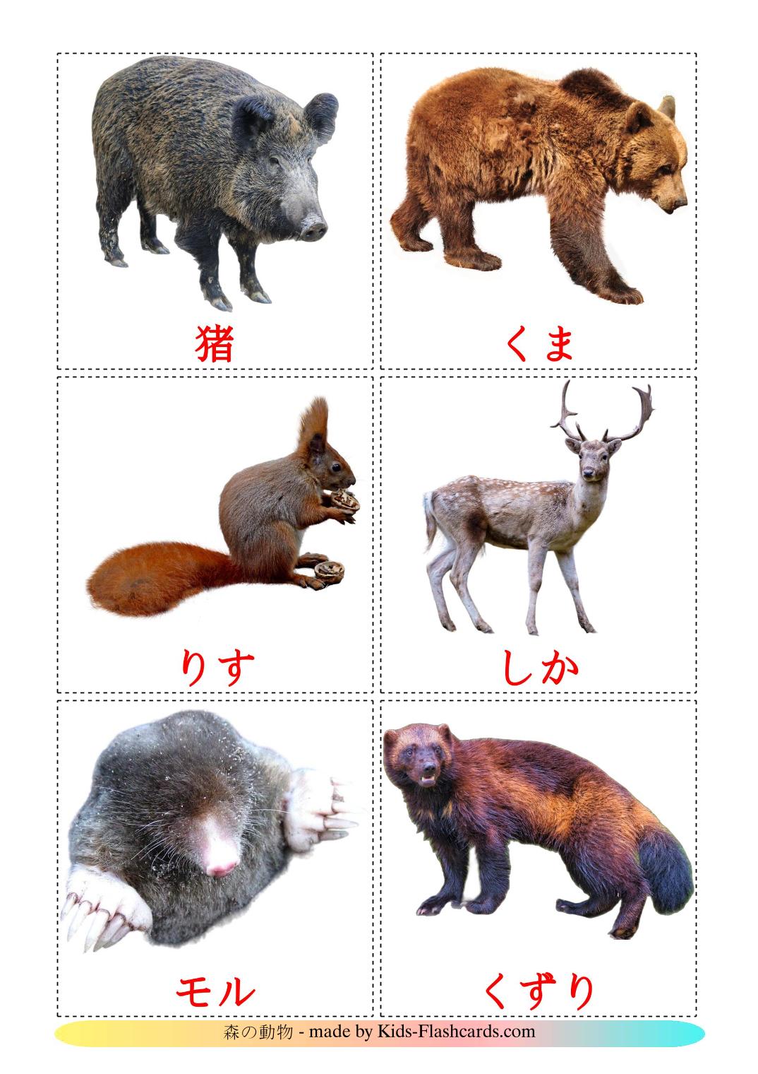 Forest animals - 22 Free Printable japanese Flashcards 