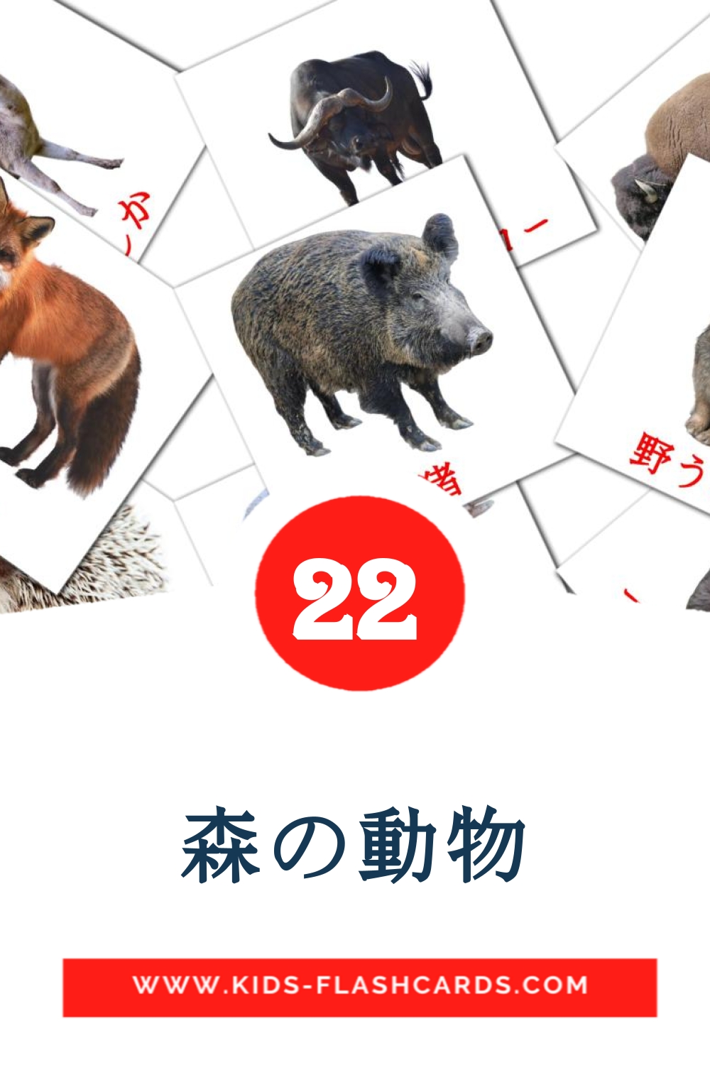 22 森の動物 Picture Cards for Kindergarden in japanese