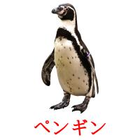 ペンギン card for translate