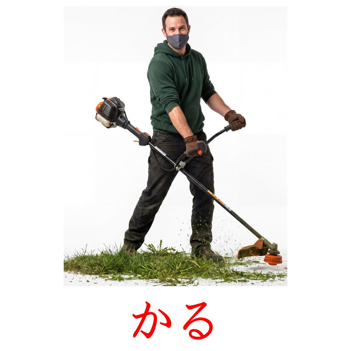 51 FREE Action verbs Flashcards | PDF | Japanese Words