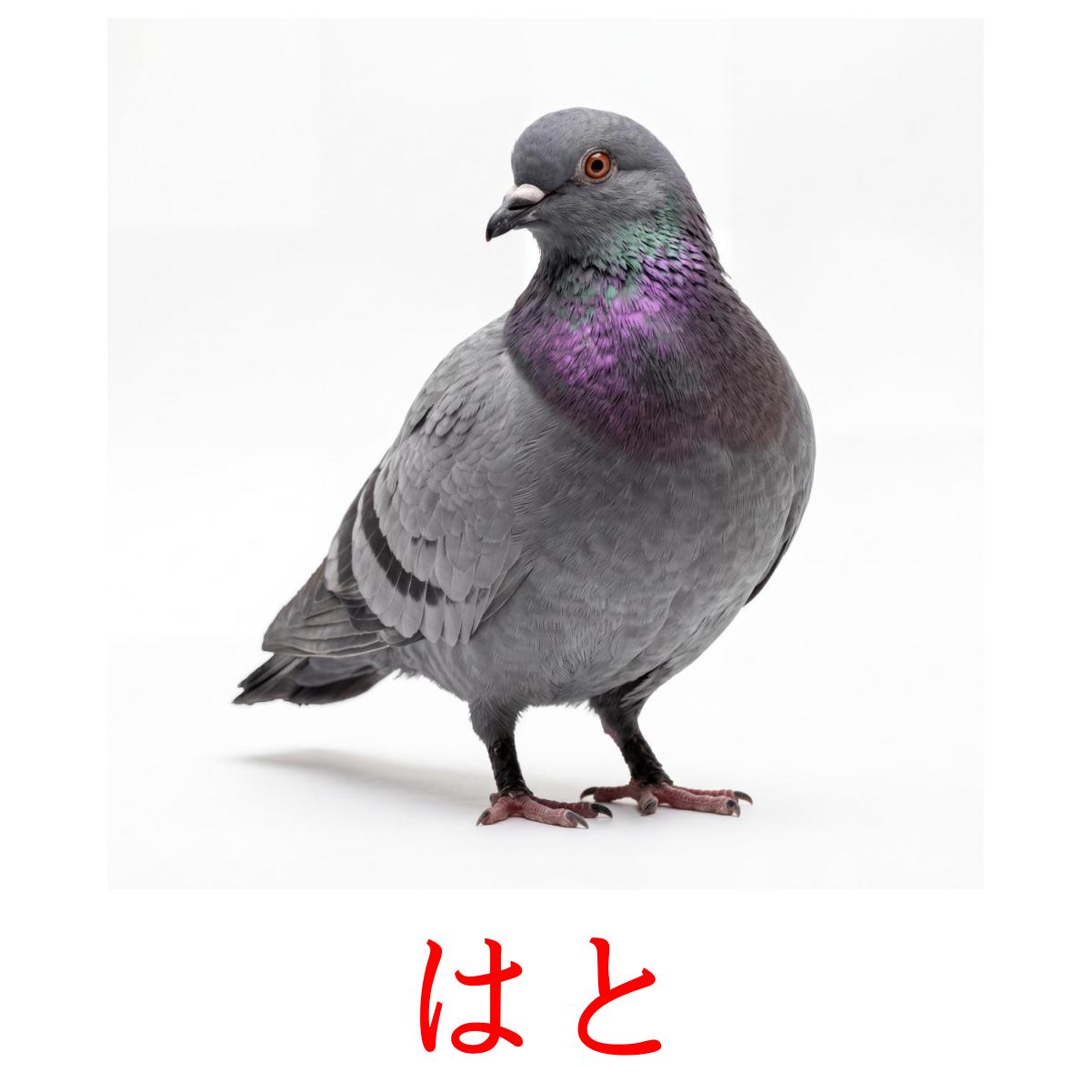 31 FREE Japanese Birds Flashcards | PDF