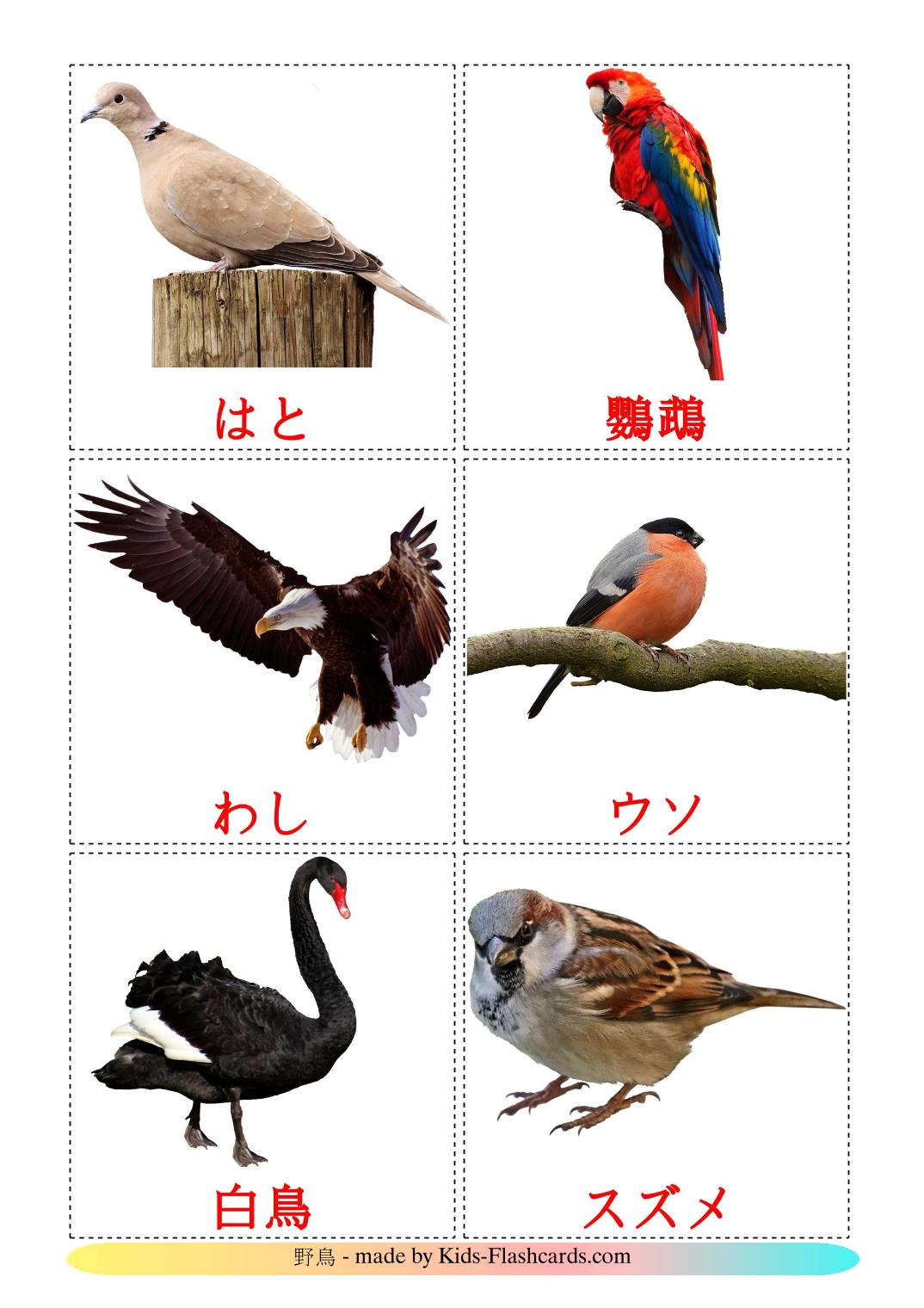 Wild birds - 18 Free Printable japanese Flashcards 