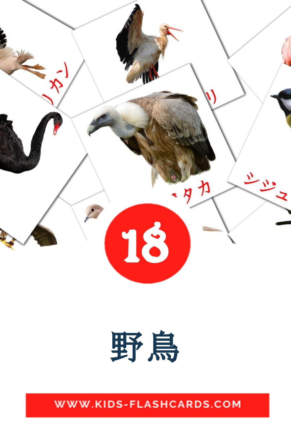 野鳥 на японском для Детского Сада (18 карточек)