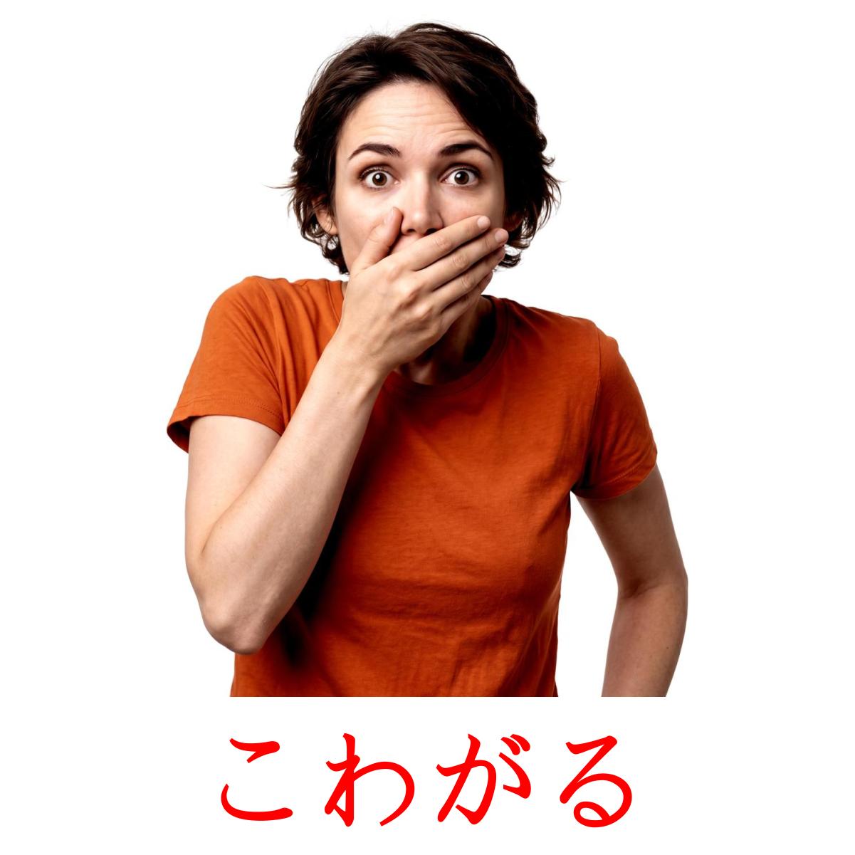24 Printable State verbs Flashcards in Japanese (Free PDF)