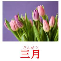 三月 card for translate