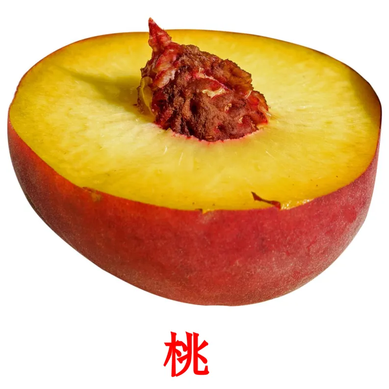 Fruits Flashcards In Pdf Japanese Pictures