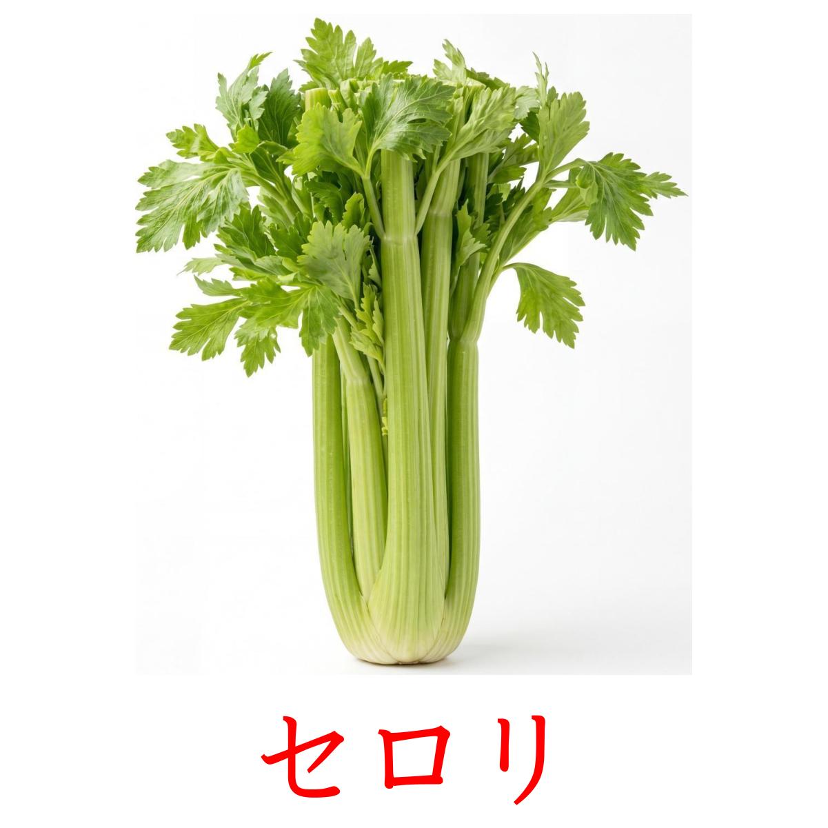 30 Printable Vegetables Flashcards in Japanese (Free PDF)
