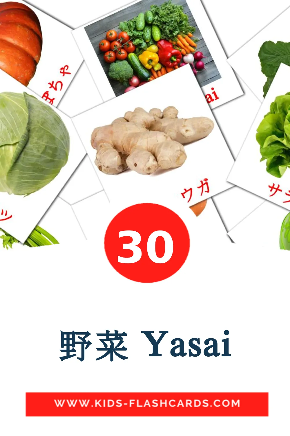 30 carte illustrate di 野菜 Yasai per la scuola materna in giapponese