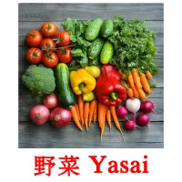 野菜 Yasai flashcards illustrate