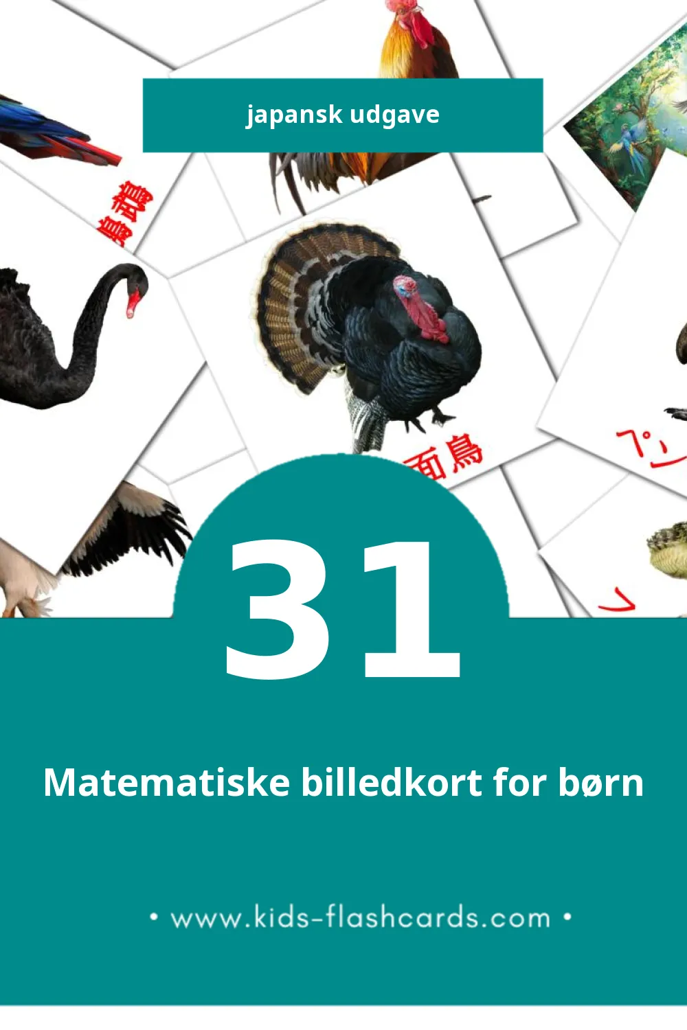Visuelle billedkort for børn om 鳥 til småbørn (31 kort på Japansk)