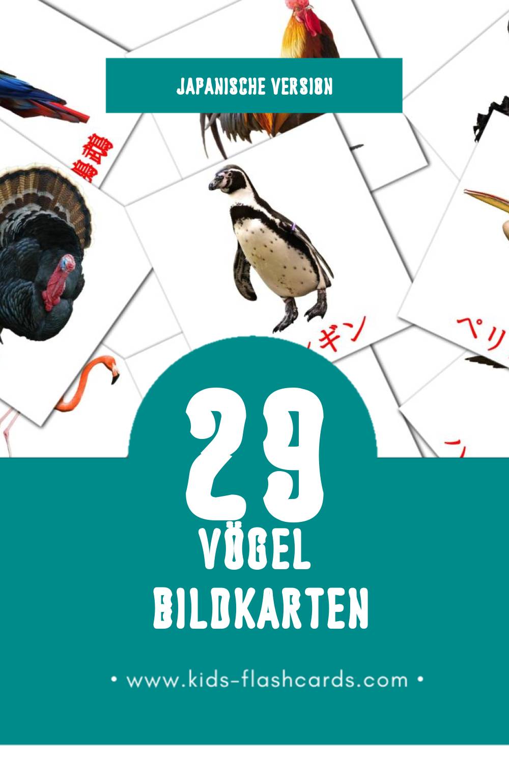 Visual 鳥 Flashcards für Kleinkinder (29 Karten in Japanisch)