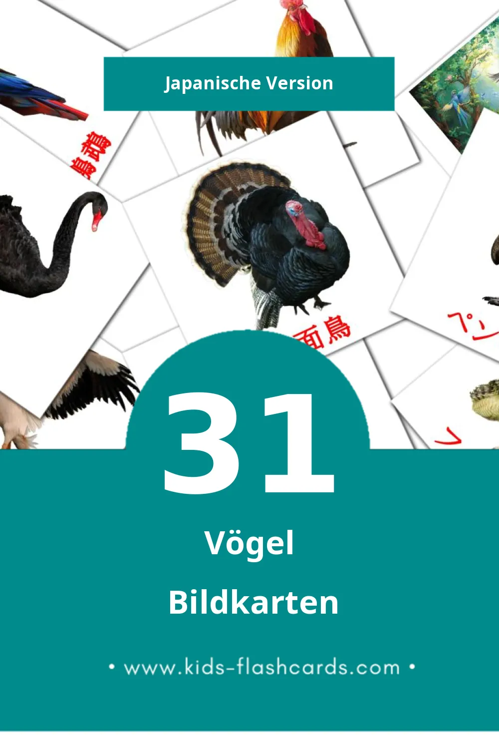 Visual 鳥 Flashcards für Kleinkinder (31 Karten in Japanisch)