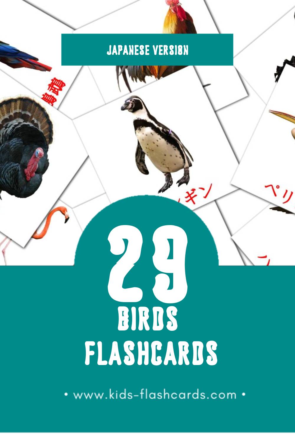 Visual 鳥 Flashcards for Toddlers (29 cards in Japanese)