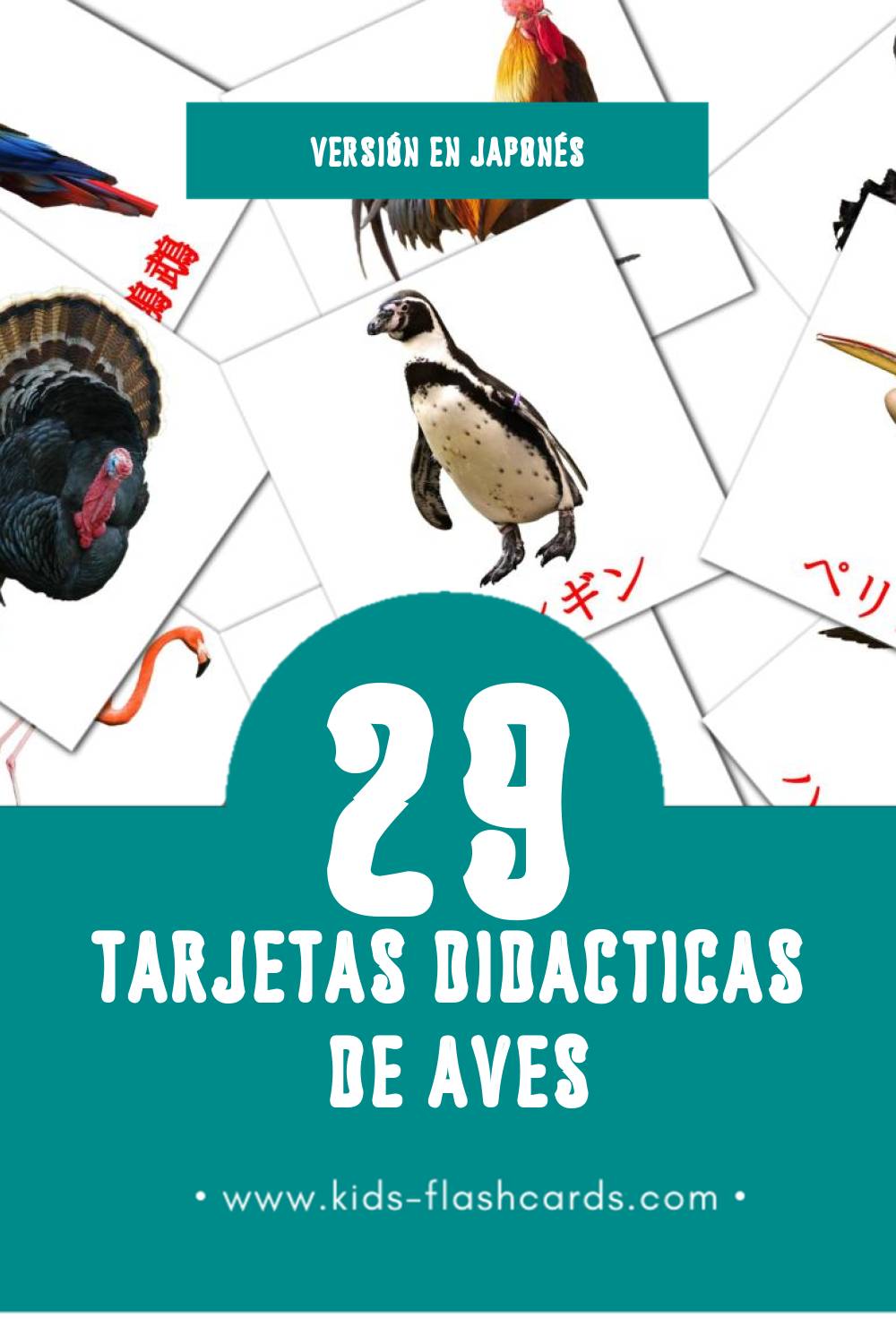 Tarjetas visuales de 鳥 para niños pequeños (29 tarjetas en Japonés)
